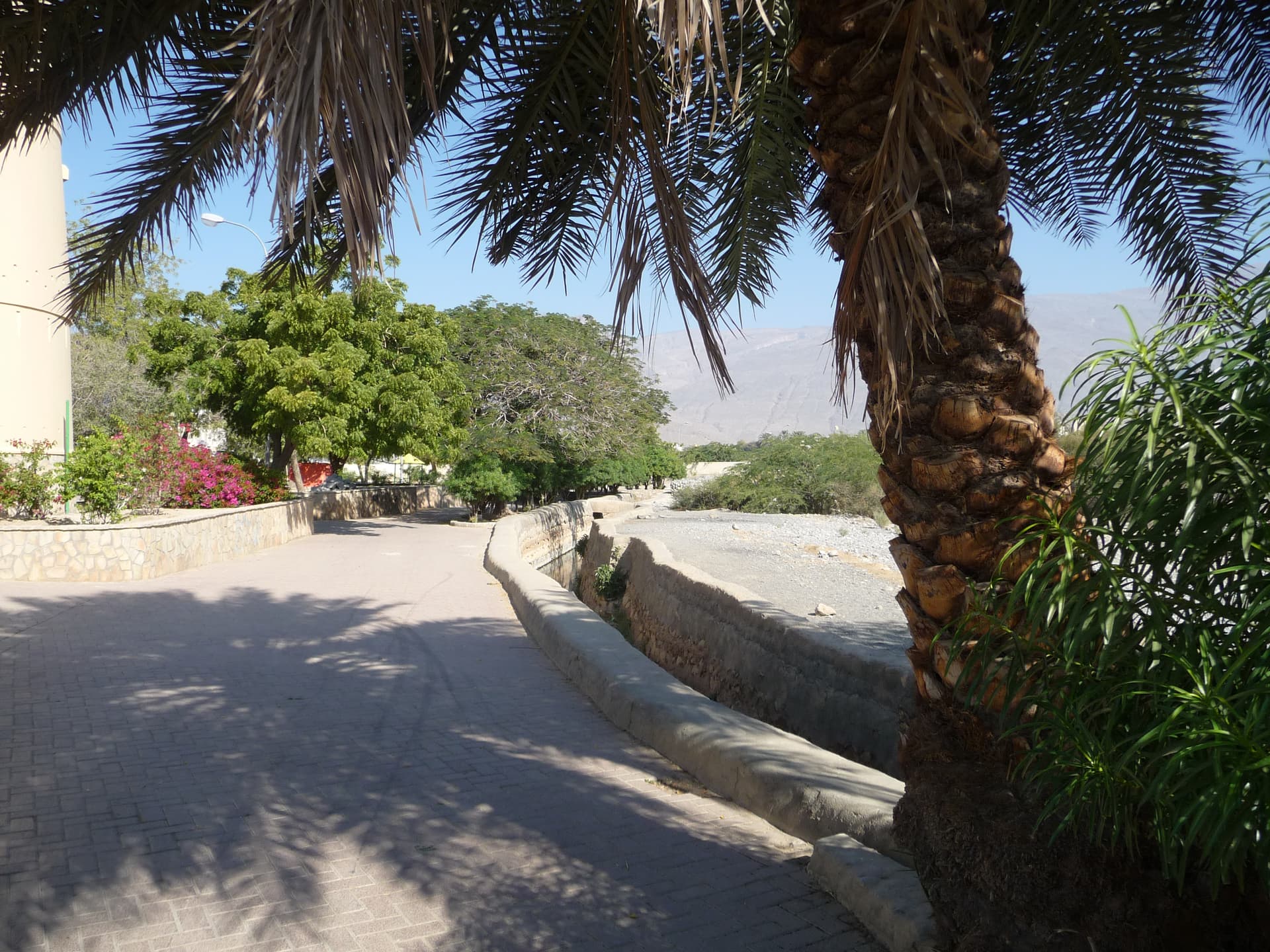 فلج دارس قرب نزوى في صورة lagerschaden بتاريخ 2018؛ CC BY-SA 4.0، دون تعديل