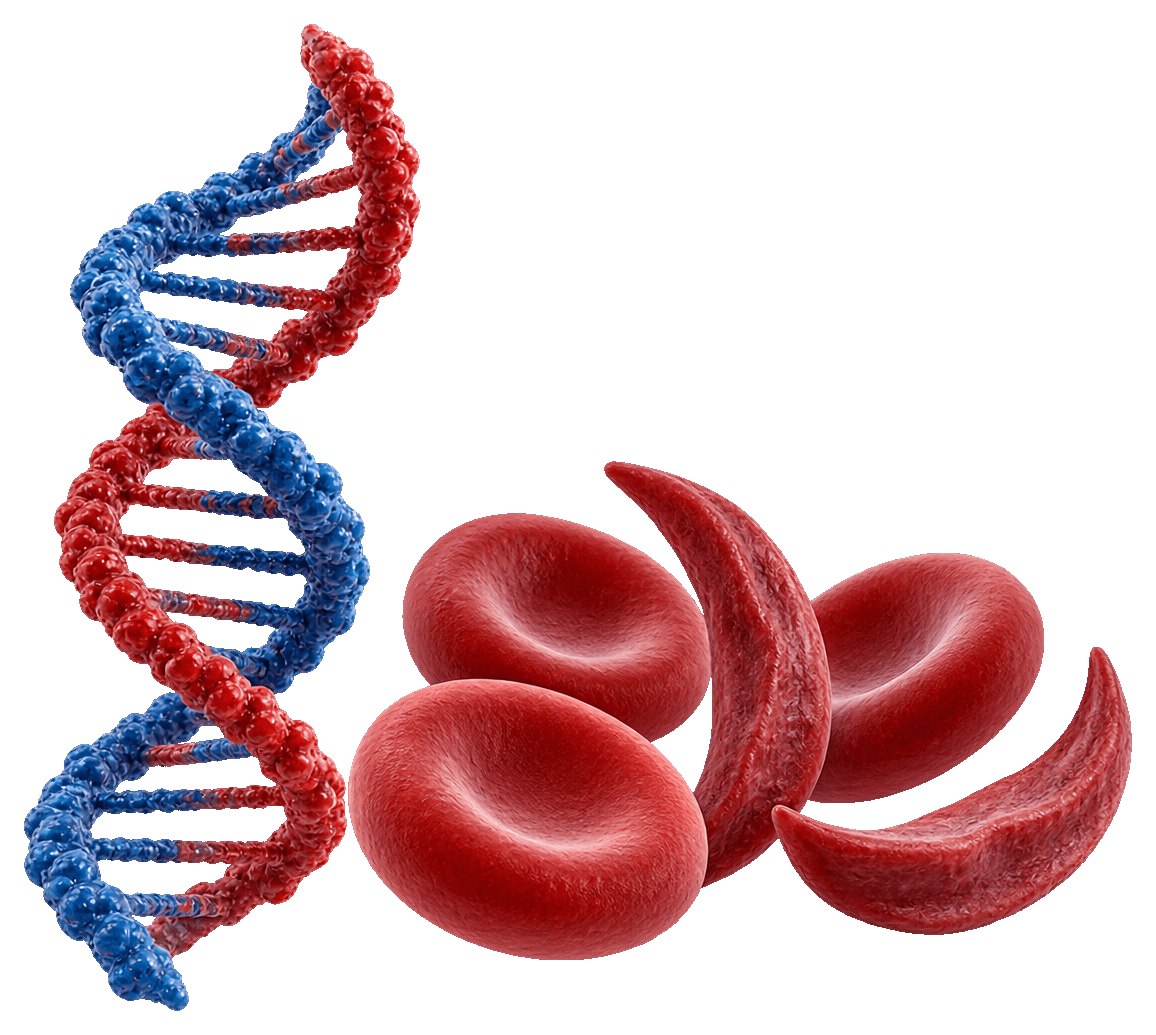 حلزون DNA وخلايا دم طبيعية ومنجلية بملمس واقعي، صورة مولدة بالذكاء الاصطناعي بقصاصة PNG شفافة
