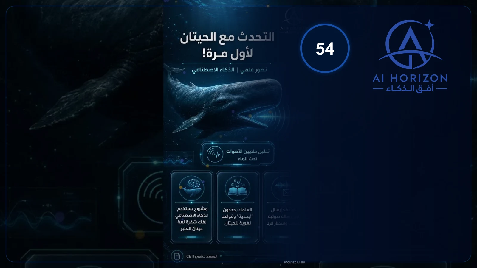 التحدث مع الحيتان لأول مرة! 🐋🗣️
